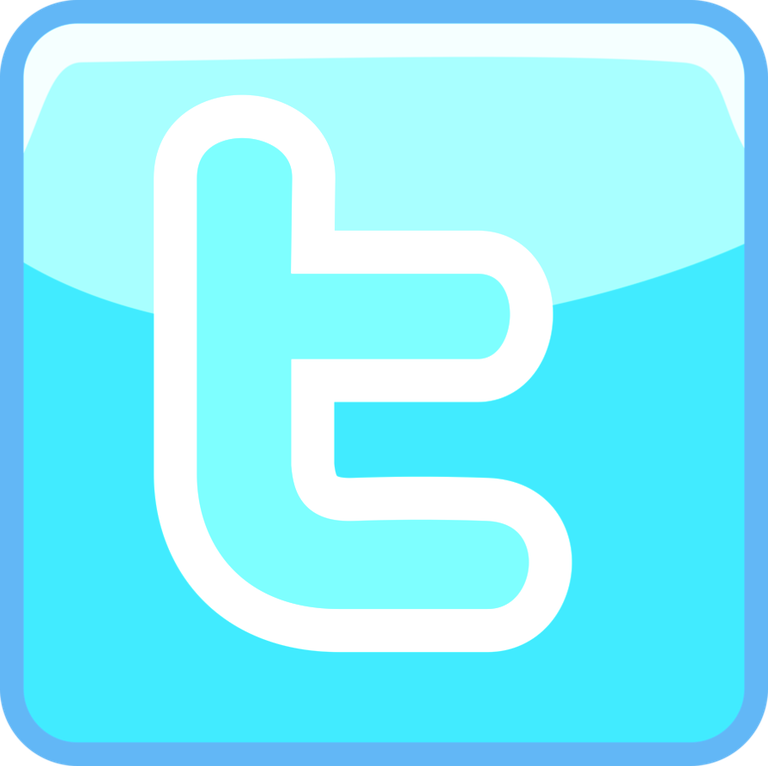 logo_twitter_white.png