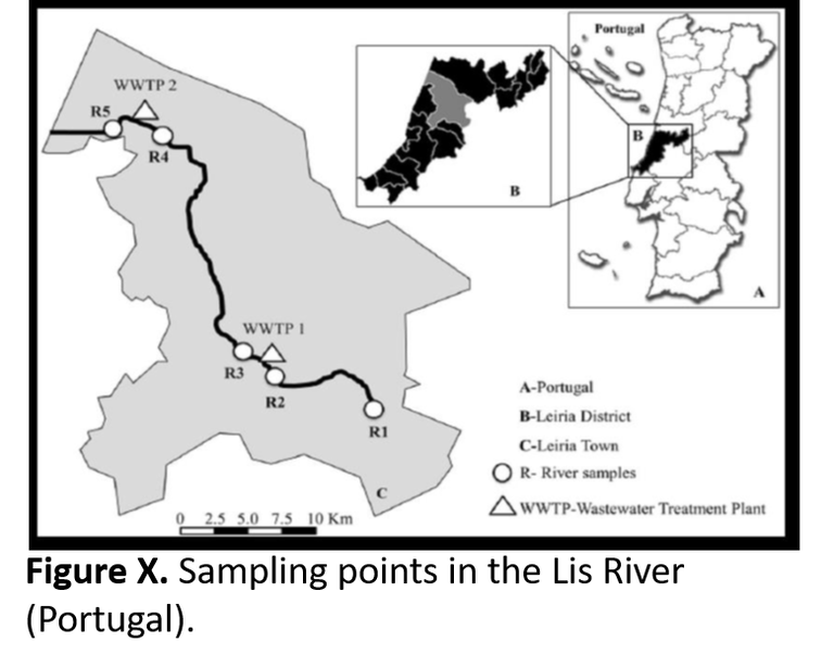 Sample Maps for Portugal (black-white)