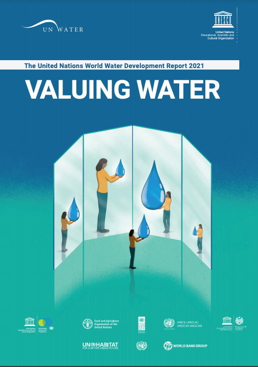 valuing water-txt.png