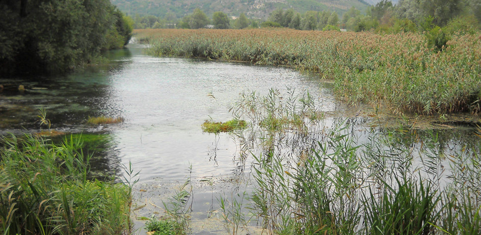 popoli-sorg.-capo-pescara.jpg