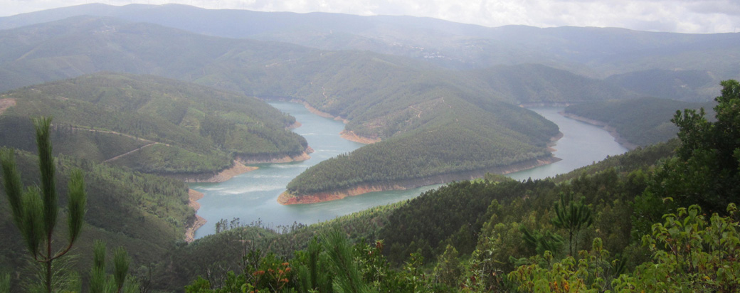 river_centralportuga.jpg