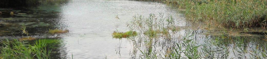 phoca_thumb_l_popoli-sorg.-capo-pescara.jpg