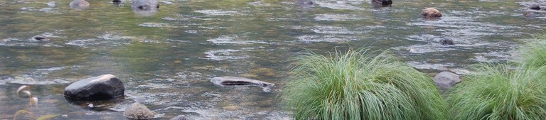 phoca_thumb_l_yosemite034.jpg