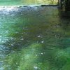 phoca_thumb_m_fara-s.m.-sorg.-fiume-verde.jpg