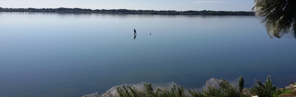 lago di fogliano.jpg