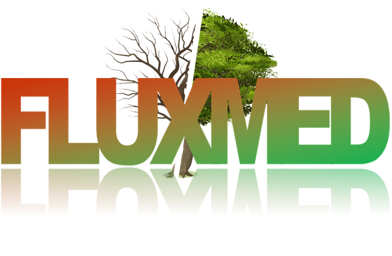 FLUXMED-LOGO.png