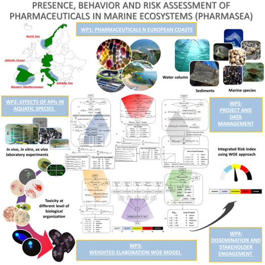 pharmasea_schema.png