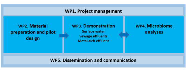 rewa_WP_schema1.PNG