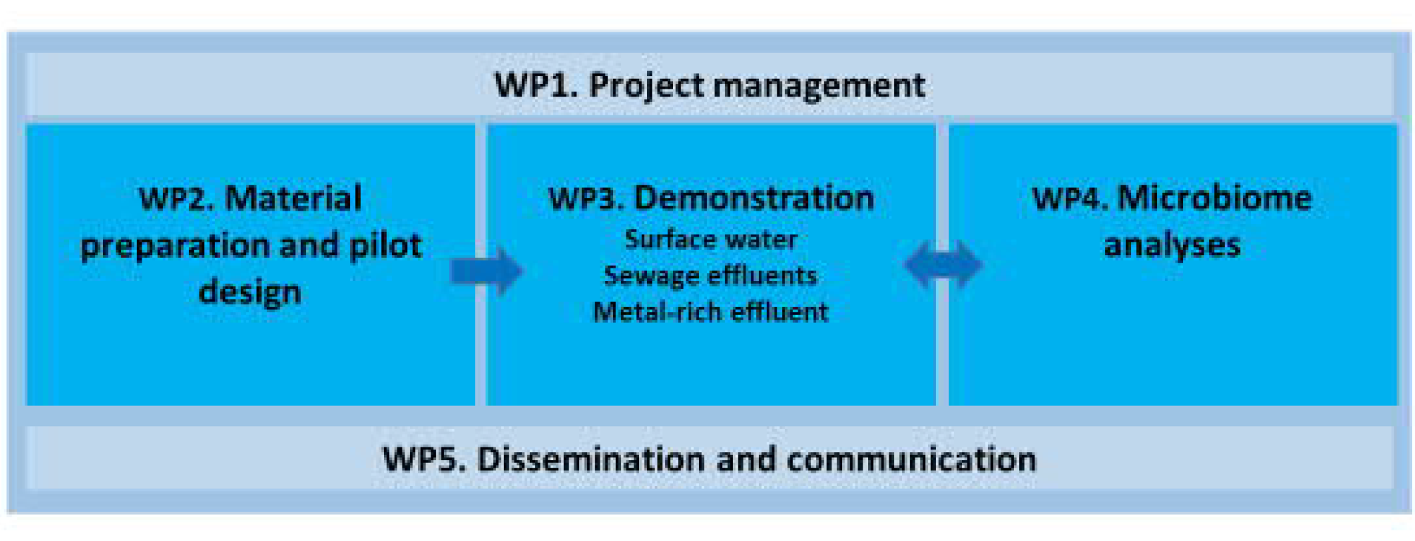 rewa_WP_schema1.PNG