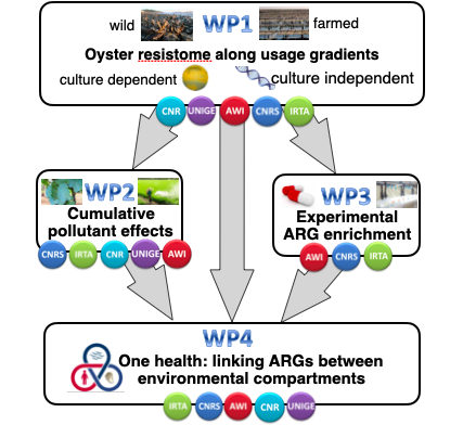 aquaticpollutants funded projects