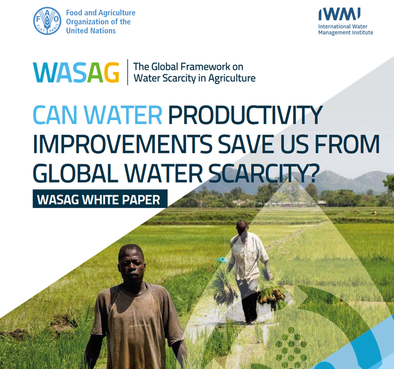 New WASAG White Paper “Can water productivity improvements save us from global water scarcity?”