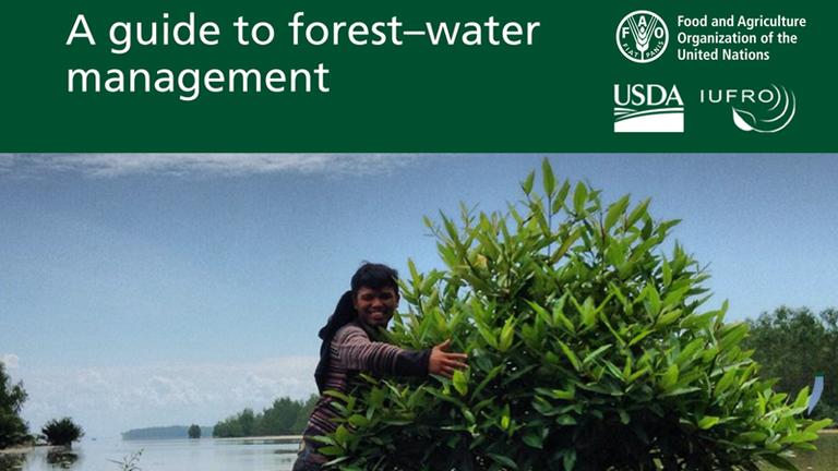 A Guide to Forest-Water Management