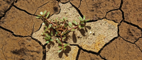 The Global Symposium on Salt-affected Soils, online, 20-22 October 2021