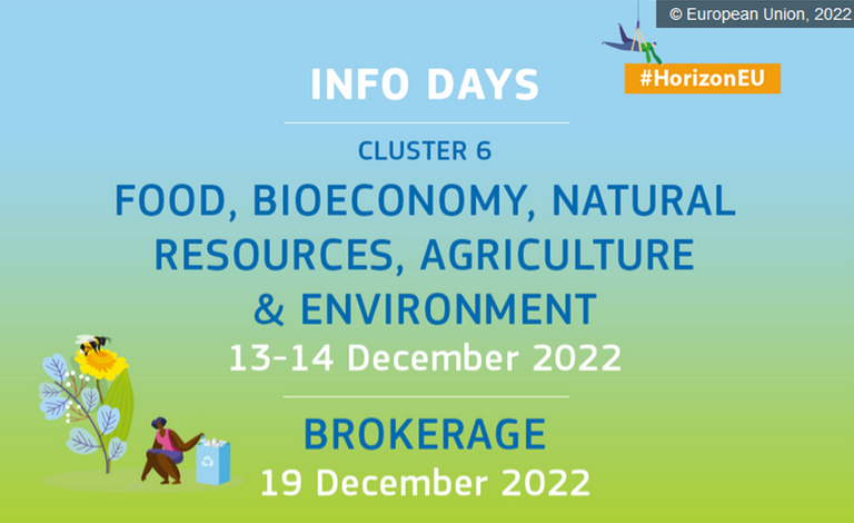 Horizon Europe - Cluster 6: “Food, bioeconomy, natural resources, agriculture and environment”