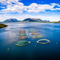 EU funding opportunities available for aquaculture