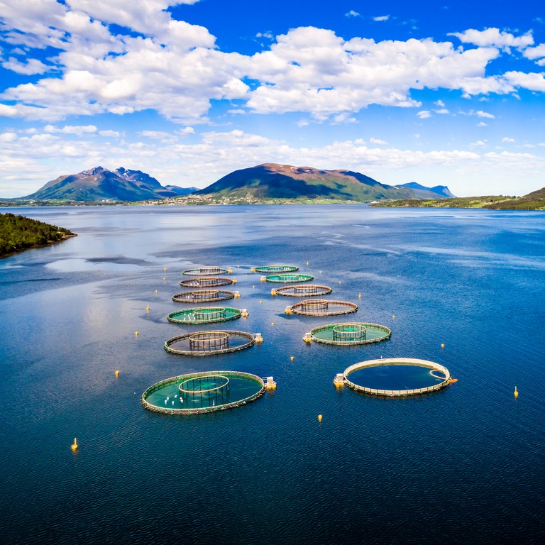 EU funding opportunities available for aquaculture
