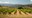 Call for Agroecology Research: Promoting agroecology at farm and territorial level