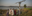 United Nations Convention to Combat Desertification (UNCCD) COP16