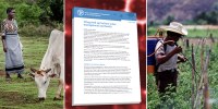 The FAO Land and Water Division releases the Policy Brief on “Integrated agriculture water management and health”