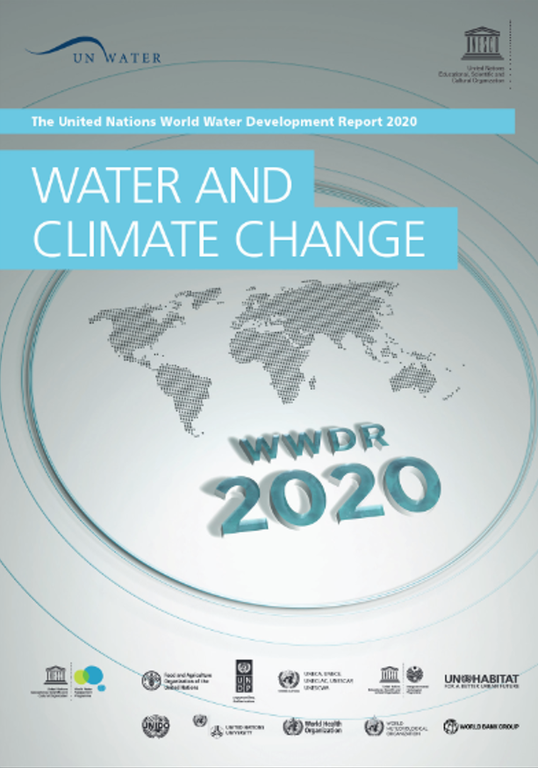 United Nations World Water Development Report