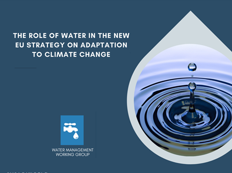 The role of water in the new EU Strategy on Adaptation to Climate Change