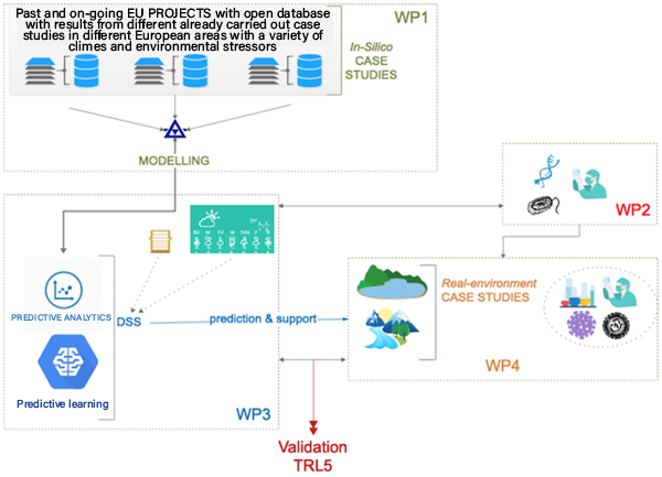 project structure