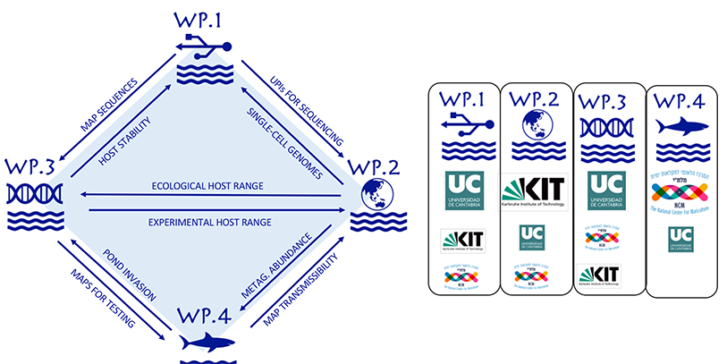 project structure