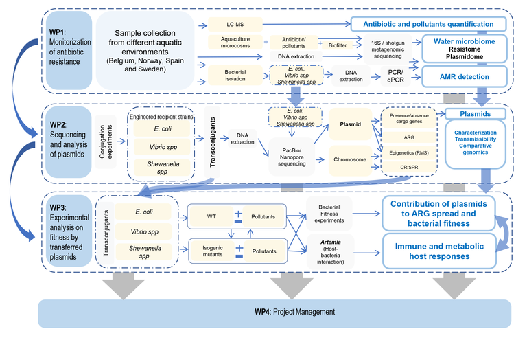 project structure