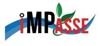 logo IMPASSE