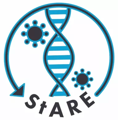 Stare project logo