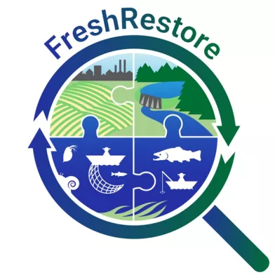 FreshRestore