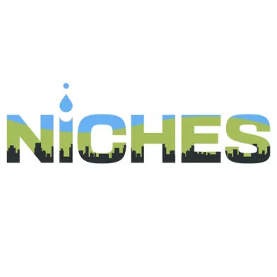 logo niches
