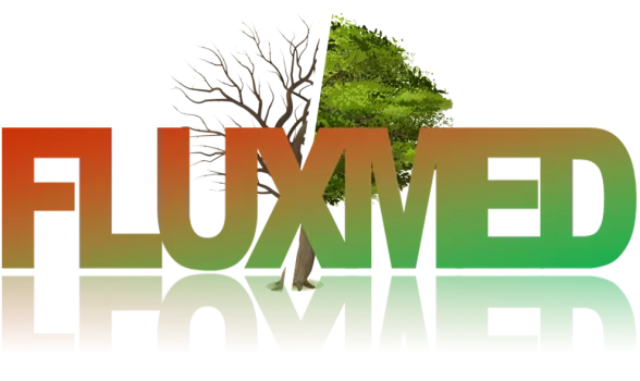 logo Fluxmed