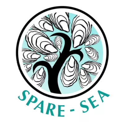 logo sparesea
