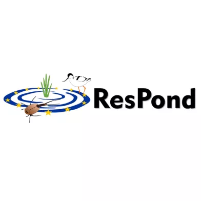 RESPOND logo